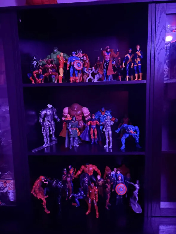 Spttycollects Collection Display